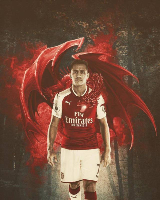 帽子戏法拯救球队！外媒：都柏林博物馆将只鹦鹉以帕洛特命名（戴帽救主！外媒：都柏林博物馆拟以帕洛特命名一只鹦鹉）